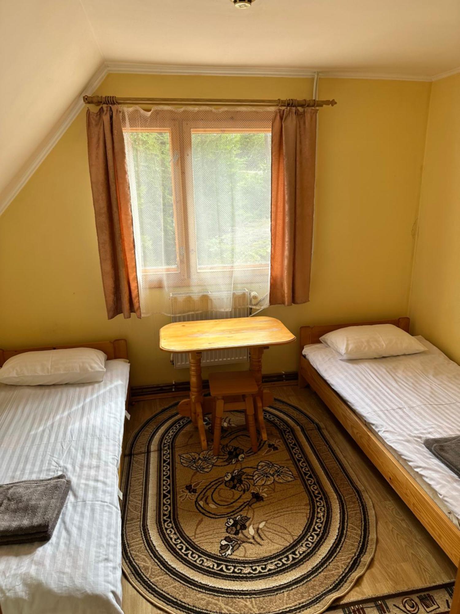Hotel Plai Drahobrat Exteriér fotografie