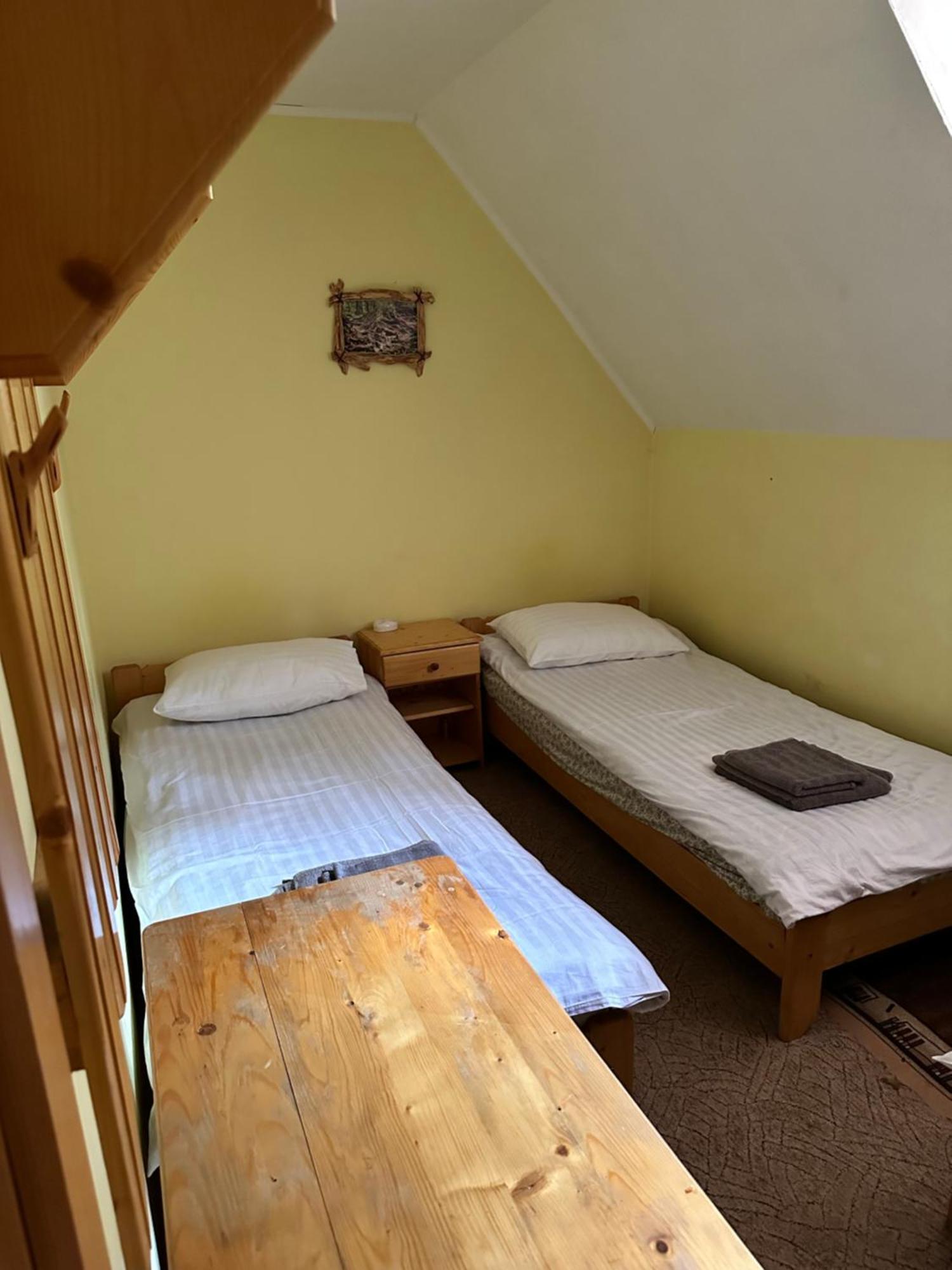 Hotel Plai Drahobrat Exteriér fotografie