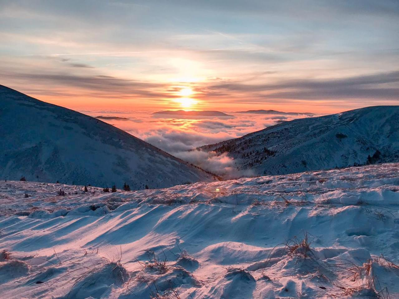 Hotel Plai Drahobrat Exteriér fotografie